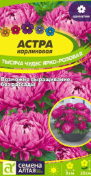 Астра Тысяча чудес ярко-розовая карликовая Семена Алтая