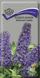 Буддлея Давида Фиолетово-голубая 0,01гр Поиск