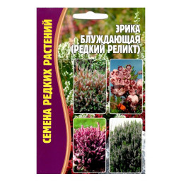 Эрика блуждающая (редкий реликт) 15шт ЧК цветы
