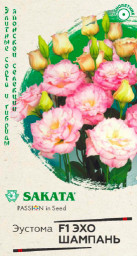 Эустома Эхо Шампань F1 4шт ГШцветы