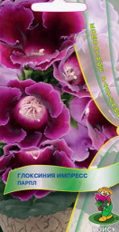 Глоксиния Импресс Парпл 5шт Поиск