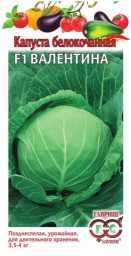 Капуста б/к Валентина F1 10шт Гавриш